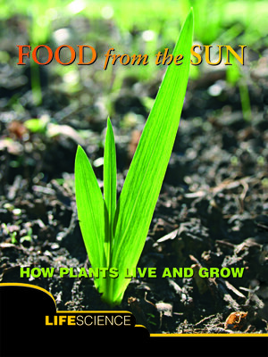 cover image of Food From the Sun